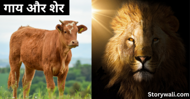gaay-aur-sher-panchtantra-story-in-hindi