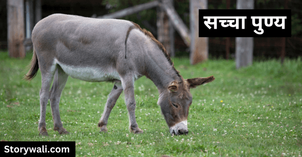sachcha-puny-inspiring-short-story-in-hindi